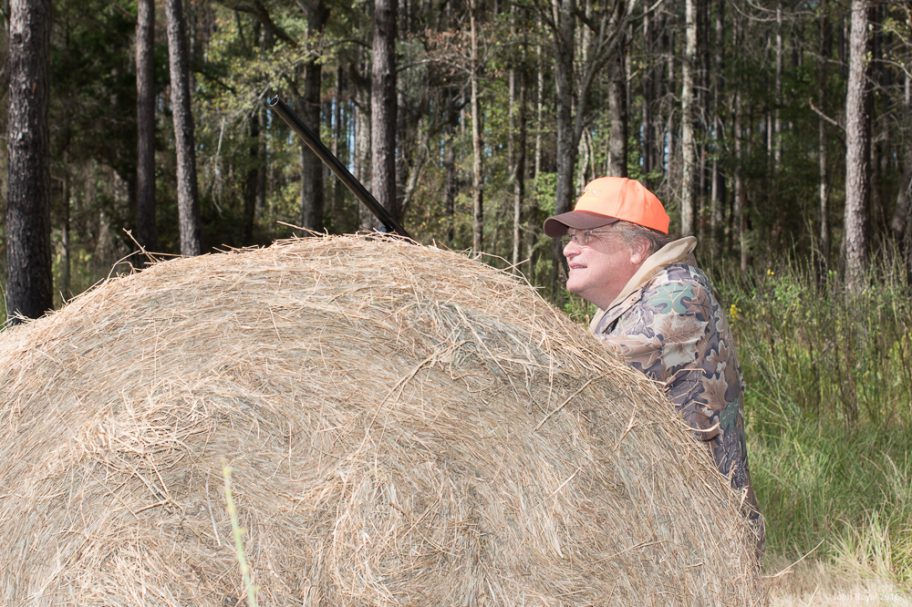 decorative image of DSC6618 , Pheasant Hunt 2016 2017-01-10 12:23:16