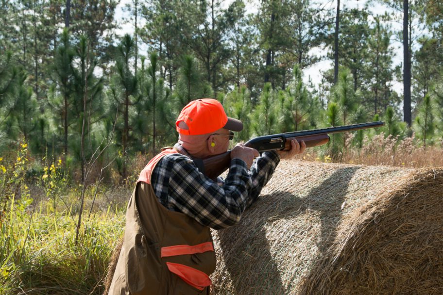 decorative image of DSC78731 , Pheasant Hunt 2016 2017-01-10 12:24:02