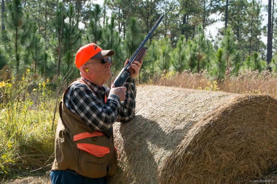 decorative image of DSC7874 , Pheasant Hunt 2016 2017-01-10 12:24:03