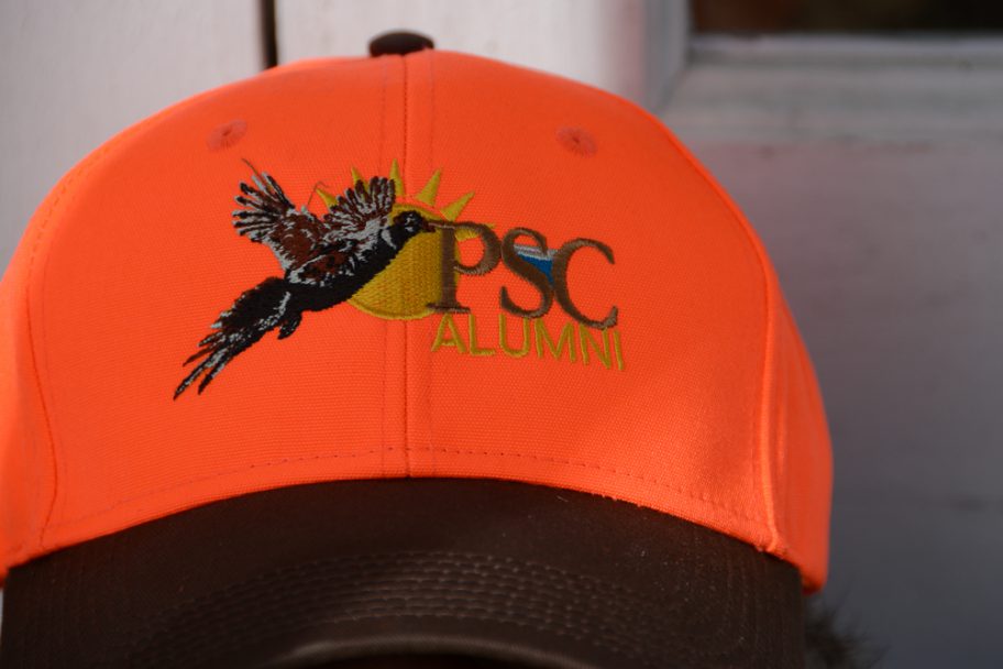 decorative image of DSC_79481 , Pheasant Hunt 2016 2017-01-10 12:22:08