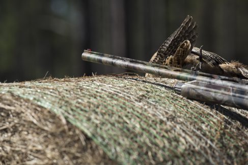 decorative image of 20171111_pheasant_shoot_0438_HiRes , Pheasant Hunt 2017 Was A Success! 2017-11-15 15:50:32