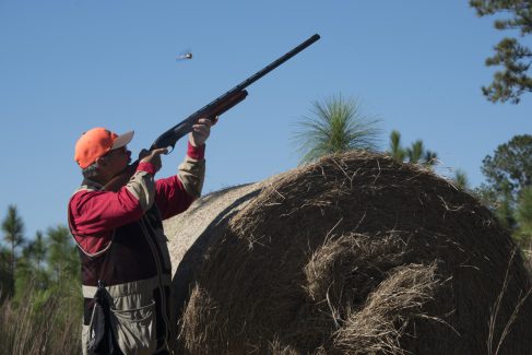 decorative image of ROX_5423 , Pheasant Hunt 2017 Was A Success! 2017-11-15 15:51:56