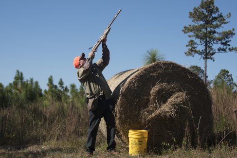 decorative image of ROX_5456 , Pheasant Hunt 2017 Was A Success! 2017-11-15 15:52:00