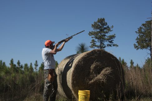 decorative image of ROX_5545 , Pheasant Hunt 2017 Was A Success! 2017-11-15 15:52:19