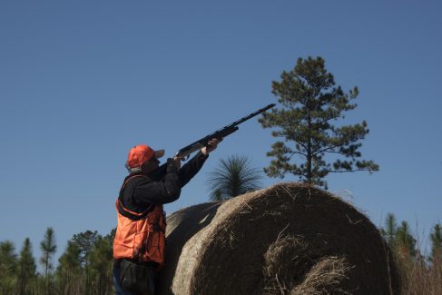 decorative image of ROX_5564 , Pheasant Hunt 2017 Was A Success! 2017-11-15 15:52:26