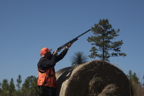 decorative image of ROX_5568 , Pheasant Hunt 2017 Was A Success! 2017-11-15 15:52:30