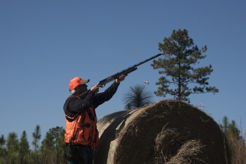 decorative image of ROX_5573 , Pheasant Hunt 2017 Was A Success! 2017-11-15 15:52:34