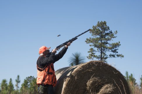decorative image of ROX_5584 , Pheasant Hunt 2017 Was A Success! 2017-11-15 15:52:38