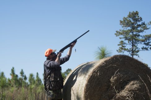 decorative image of ROX_5745 , Pheasant Hunt 2017 Was A Success! 2017-11-15 15:53:05