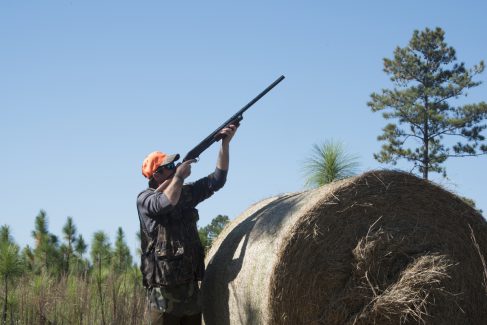 decorative image of ROX_5752 , Pheasant Hunt 2017 Was A Success! 2017-11-15 15:53:09
