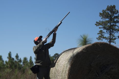 decorative image of ROX_5867 , Pheasant Hunt 2017 Was A Success! 2017-11-15 15:53:20