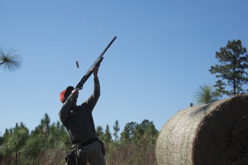 decorative image of ROX_5931 , Pheasant Hunt 2017 Was A Success! 2017-11-15 15:53:44