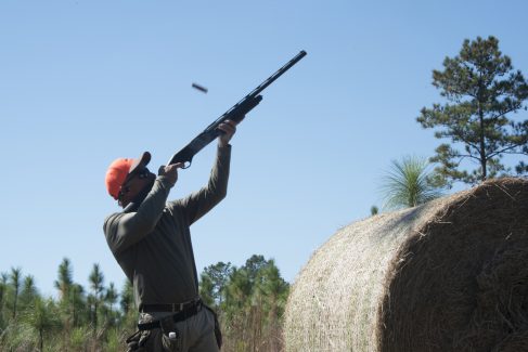 decorative image of ROX_5943 , Pheasant Hunt 2017 Was A Success! 2017-11-15 15:53:48