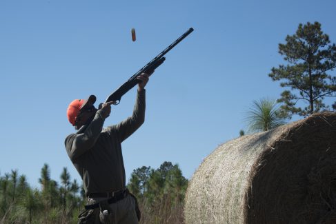 decorative image of ROX_5945 , Pheasant Hunt 2017 Was A Success! 2017-11-15 15:53:52