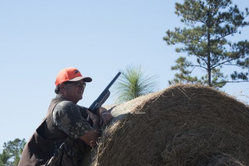 decorative image of ROX_5956 , Pheasant Hunt 2017 Was A Success! 2017-11-15 15:53:55