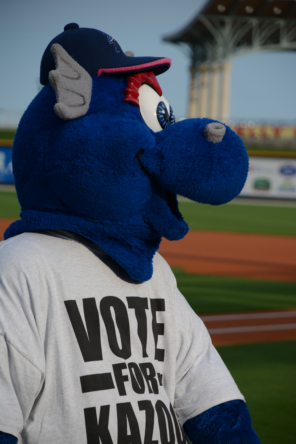 decorative image of 005 , Blue Wahoos Alumni Night 2015-08-06 14:07:53