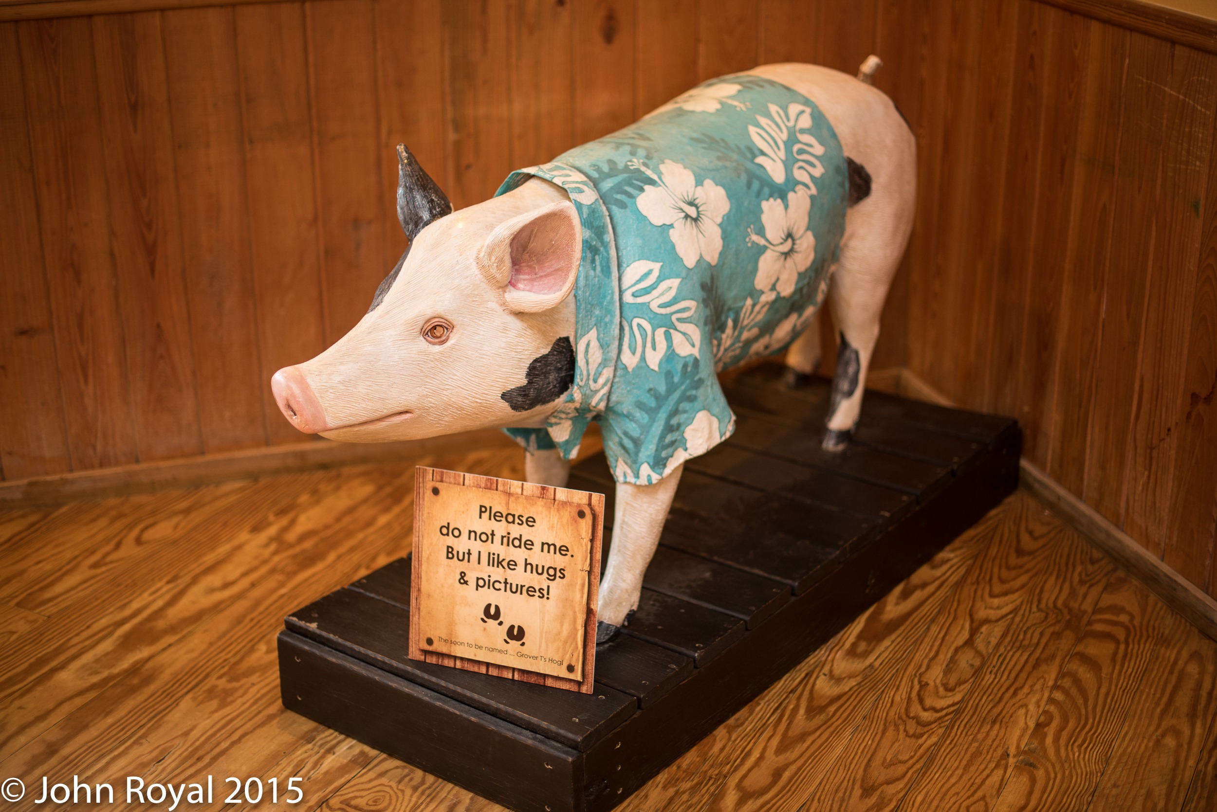 decorative image of DSC_2487_20150624_10326 , Meet & Greet - Grover T's 2015-08-05 13:37:41