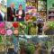 decorative image of Roxanne2-1-1536x1194-1 , Homegrown at PSC: Spotlight on Roxanne Rachel Lavelle 2025-05-27 10:26:07