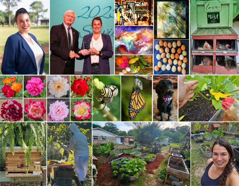 decorative image of Roxanne2-1-1536x1194-1 , Homegrown at PSC: Spotlight on Roxanne Rachel Lavelle 2025-05-27 10:26:07