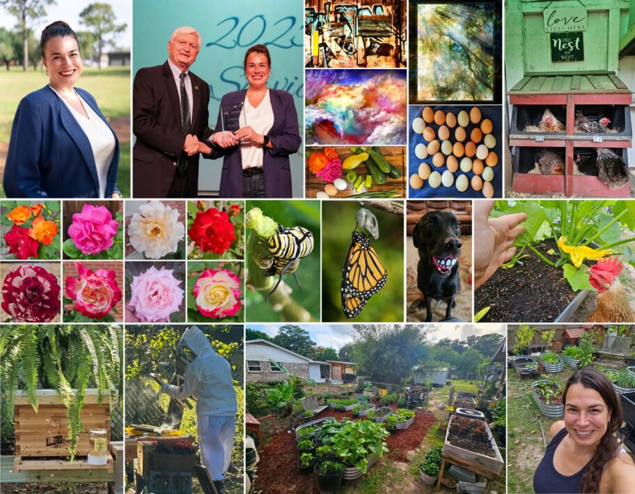 decorative image of Roxanne2-1-1536x1194-1 , Homegrown at PSC: Spotlight on Roxanne Rachel Lavelle 2025-05-27 10:26:07