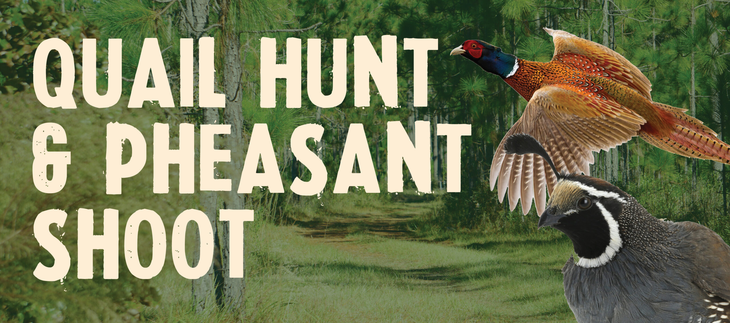 Decorative image of the Alumni Quail Hunt and Pheasant Shoot event.
