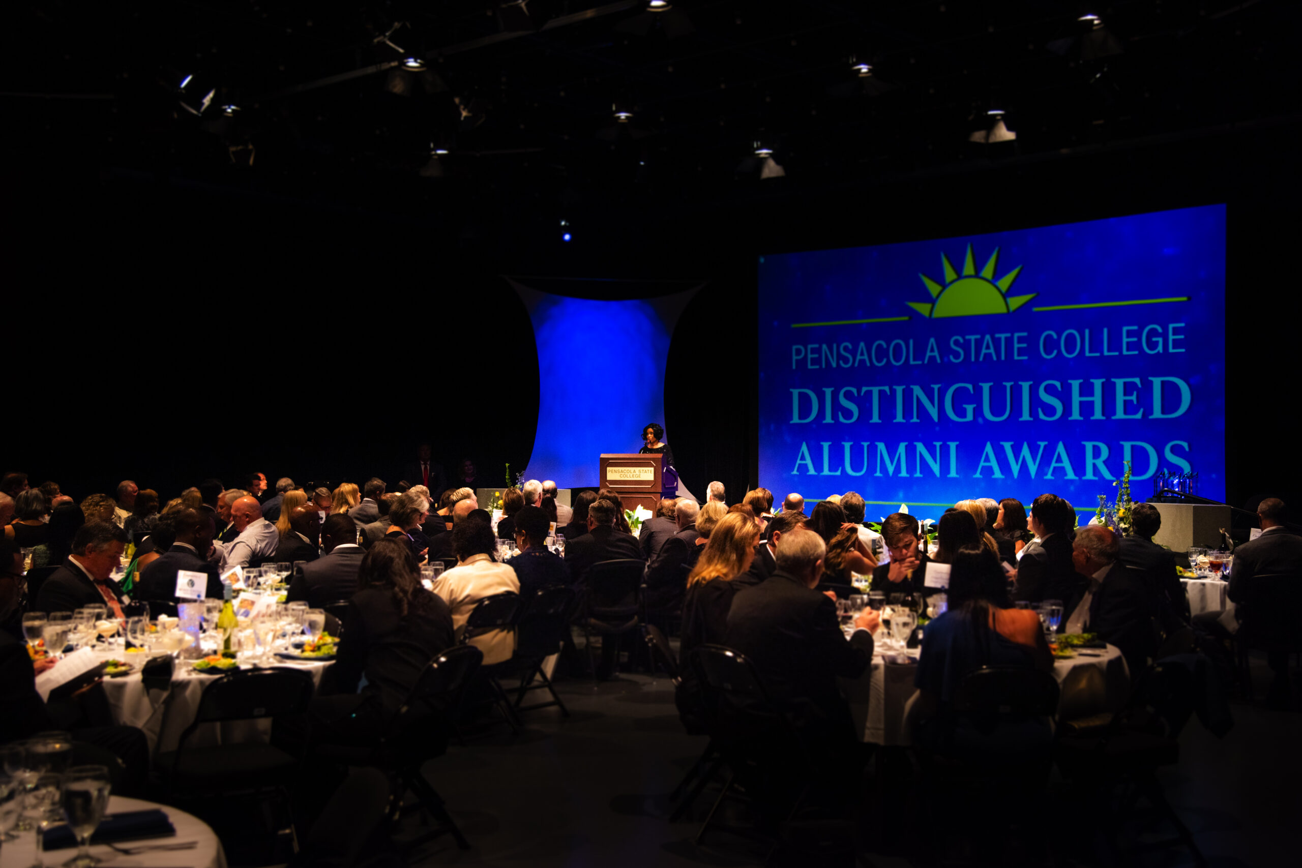 Decorative image of the Distinguished Alumni Awards.