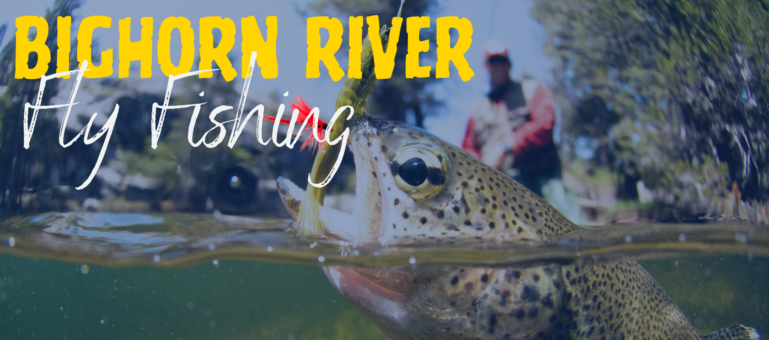 Banner for Alumni Big Horn Fly Fishing Expedition