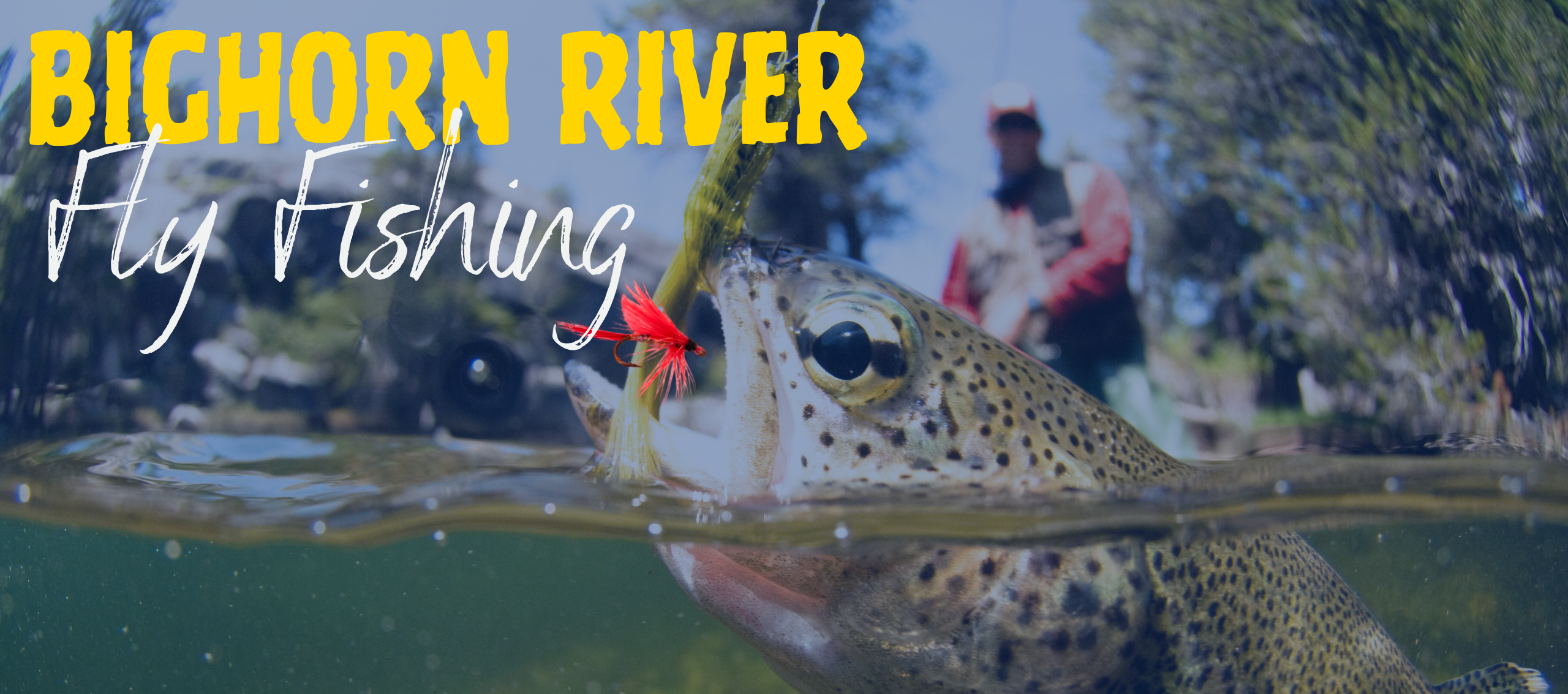 Banner for Alumni Bighorn Fly Fishing Event